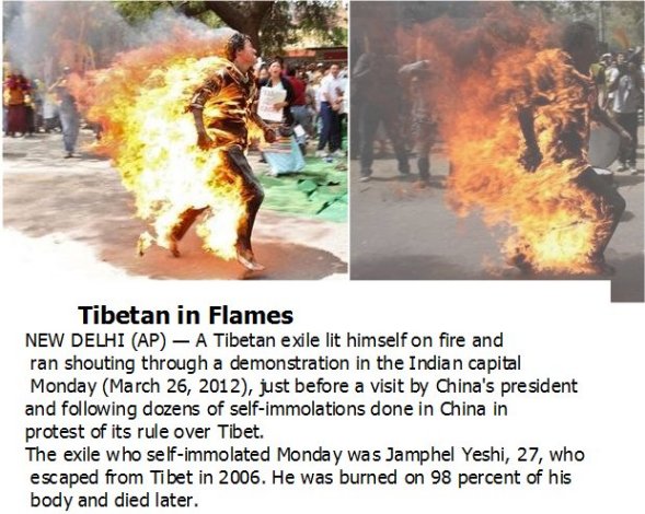 tibetan-merged.jpg
